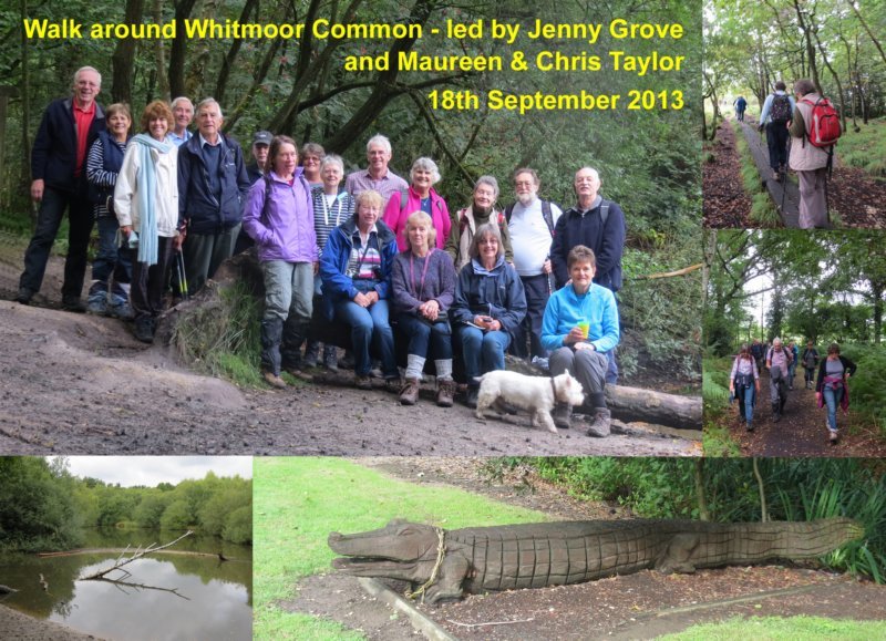 Worplesdon and Whitmoor Common Walk - 18th September 2013